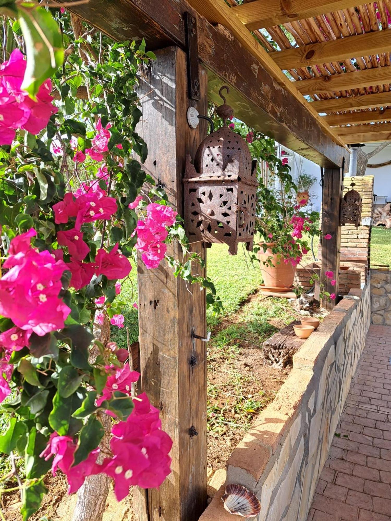 La Luciernaga Guest House Chiclana de la Frontera Luaran gambar